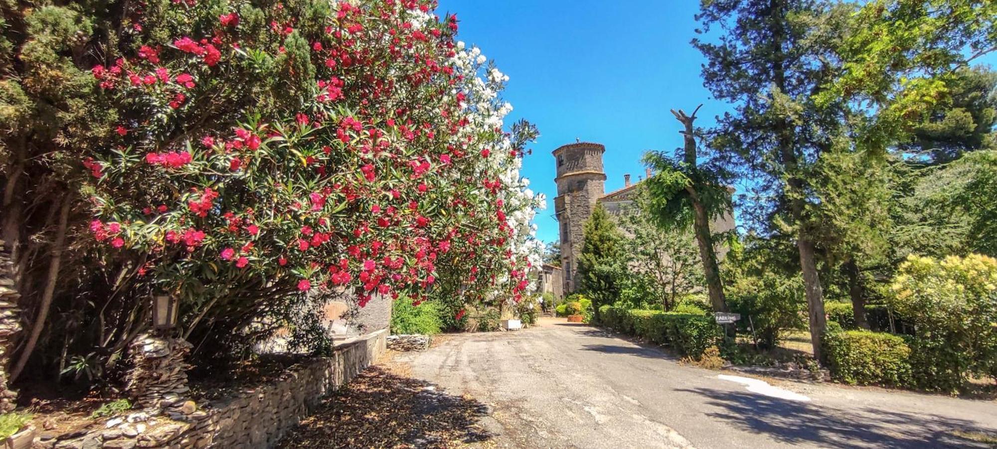 Chateau Saint-Martin Carcassonne Buitenkant foto